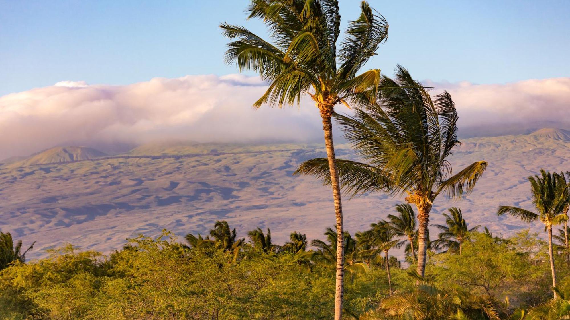 Sunset Villa Spacious Mauna Lani 3Br Home With Private Beach Club Waikoloa Exterior photo